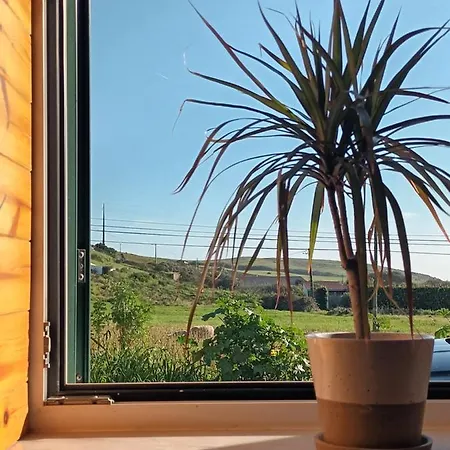 Roots Cozy House Raposeira